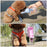 Pet Dog Cat Water Bottle Portable Feeder